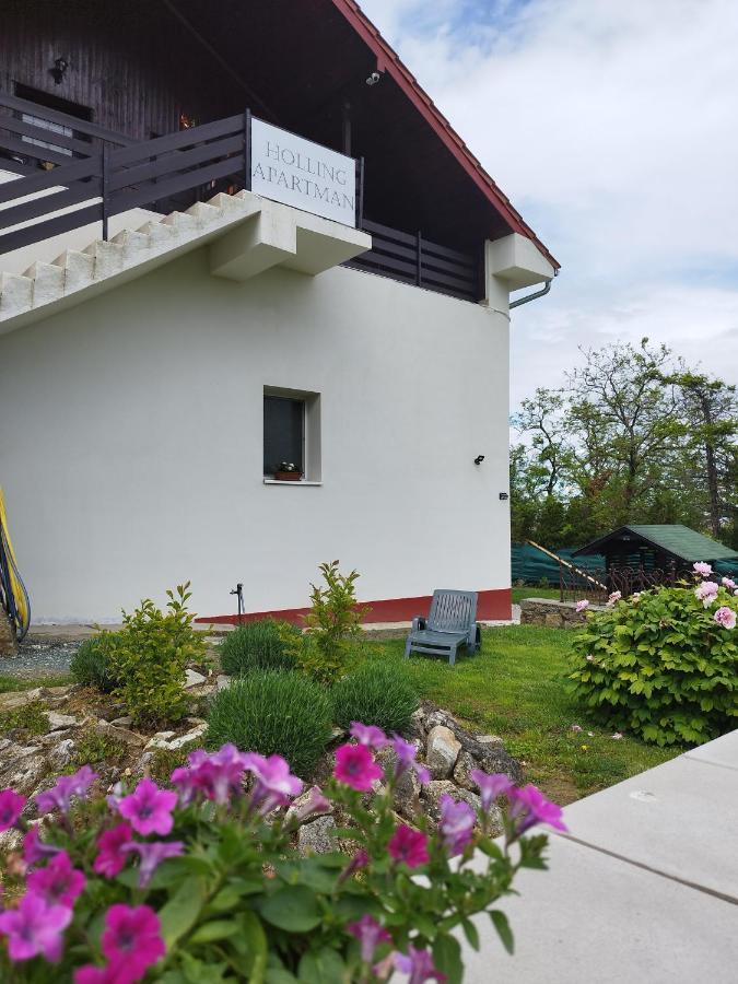 Holling Apartman Fertőboz Εξωτερικό φωτογραφία