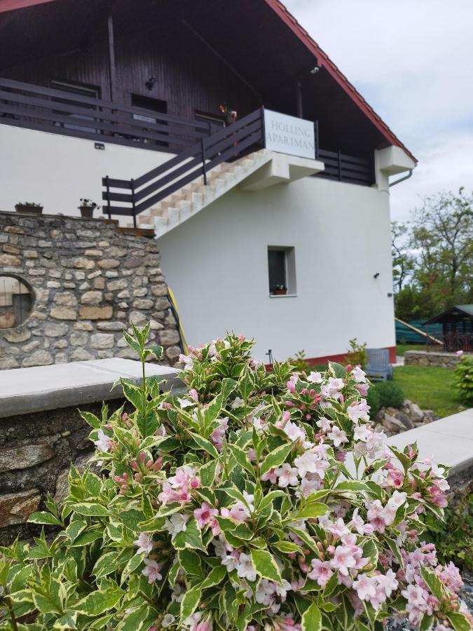 Holling Apartman Fertőboz Εξωτερικό φωτογραφία